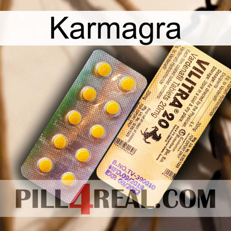 Karmagra new06